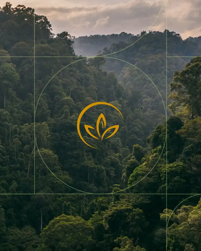La salud de todo el cuerpo empieza con equilibrio natural: bienestar desde tu interior. Formulaciones que aportan un apoyo rápido y sostenido utilizando ingredientes naturales estudiados científicamente. En Herbal Natural, desarrollamos fórmulas naturales que aportan un bienestar integral desde el interior hacia el exterior. La salud de todo el cuerpo empieza con equilibrio natural bienestar desde tu interior.