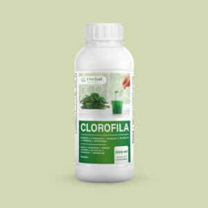 clorofila