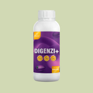 digenzi